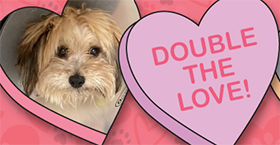Double the Love! 