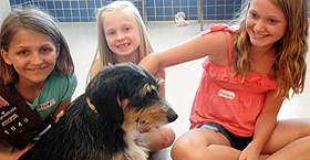 Fall programs for kids