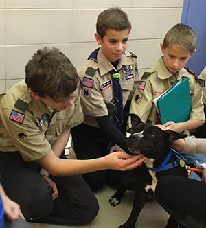 Scout Programs Wisconsin Humane Society