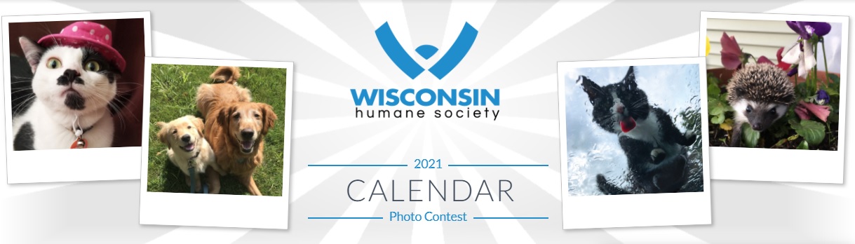 humane society calendar 2021 2021 Calendar Contest Wisconsin Humane Society humane society calendar 2021