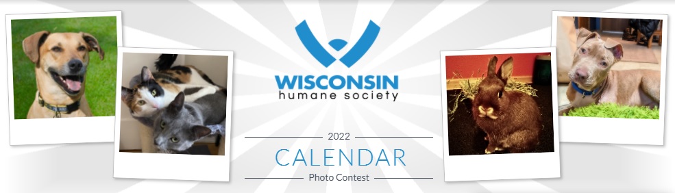 Calendar Contest | Wisconsin Humane Society